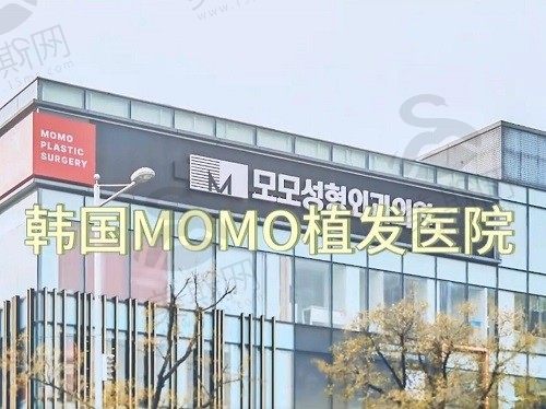 韩国毛茂MOMO植发医院大楼