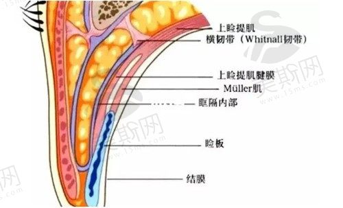 常州施尔美杨平医生做双眼皮术后无痕,眼综合收费1.2w起不算贵