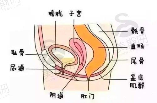 无锡私密整形医院排行榜更新,排行前三是施尔美,坤如玛丽,同舟