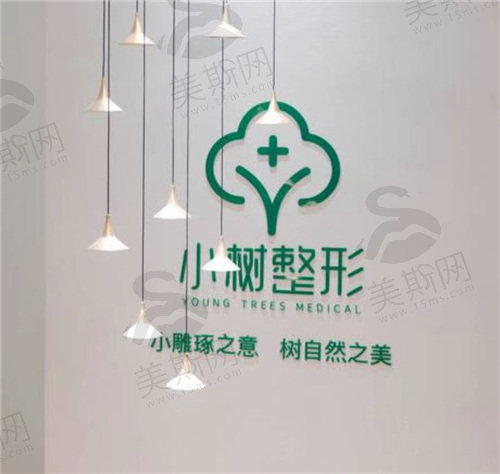 沈阳小树医疗美容诊所logo