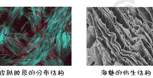 海魅玻尿酸的特点优势