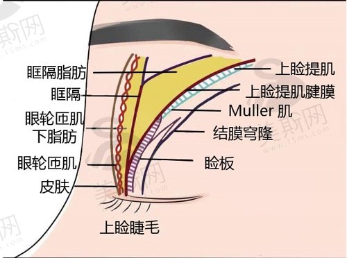 东莞华美詹慧双眼皮修复怎么样