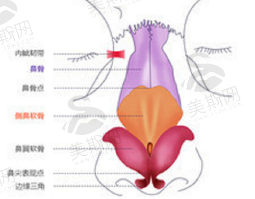 深圳鹏程刘冰特色土耳其软糖鼻