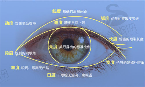 壹加壹玖度魅眼介绍