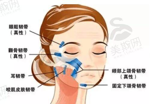 不同年龄人群做双逆博士抗衰成效截然不同