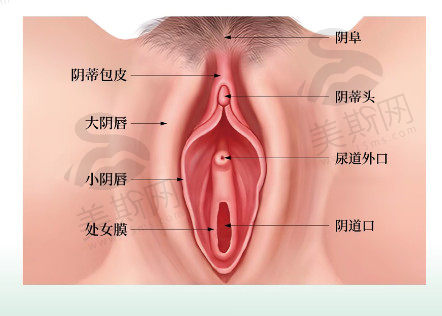 韩国Qline女性医院特色整形项目备受喜爱