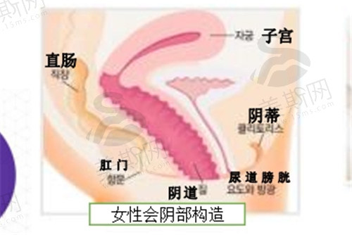 韩国如妍妇科医院做私密整形技术特色