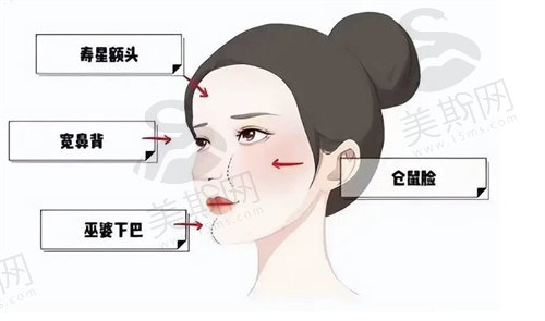 馒化针和溶脂 针的区别在哪
