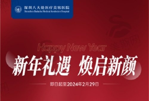 深圳八大处2024新年活动玻尿酸价格