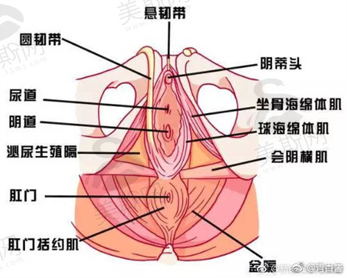 南京艺星私密整形医生推荐