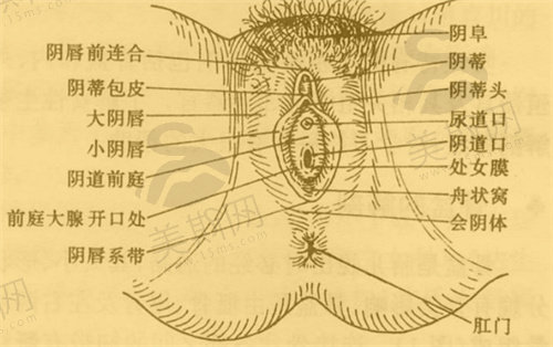 上海宏康医院私密科怎么样