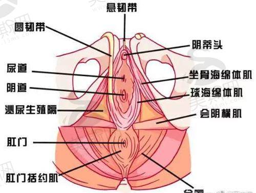 杭州紧缩手术哪家做得好