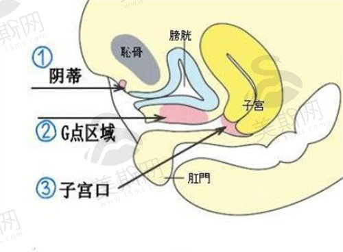 G点针剂注射价格大概多钱？