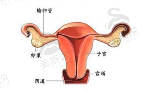 无锡私密整形医院排行前三