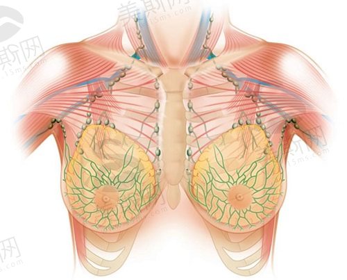 缩胸手术影响以后哺乳吗