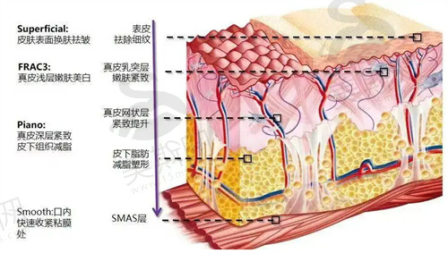 北京整好医疗美容手术价格实惠