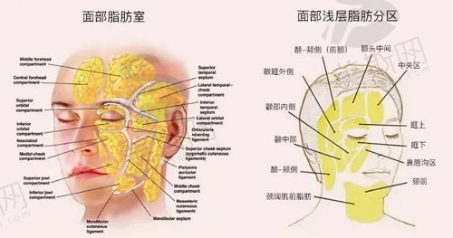 面部提升三件套是什么