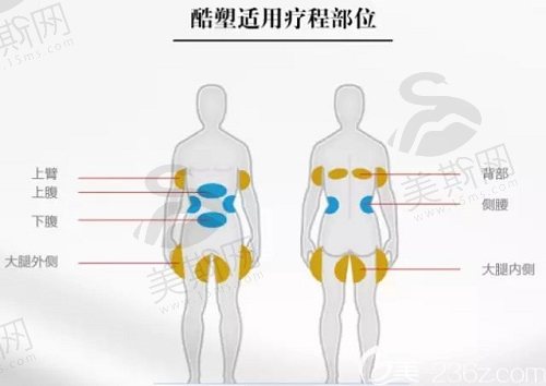 射频溶脂和冷冻溶脂哪个好？收费价格来pk