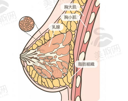 军科整形医院做胸怎么样？真人案例介绍分析