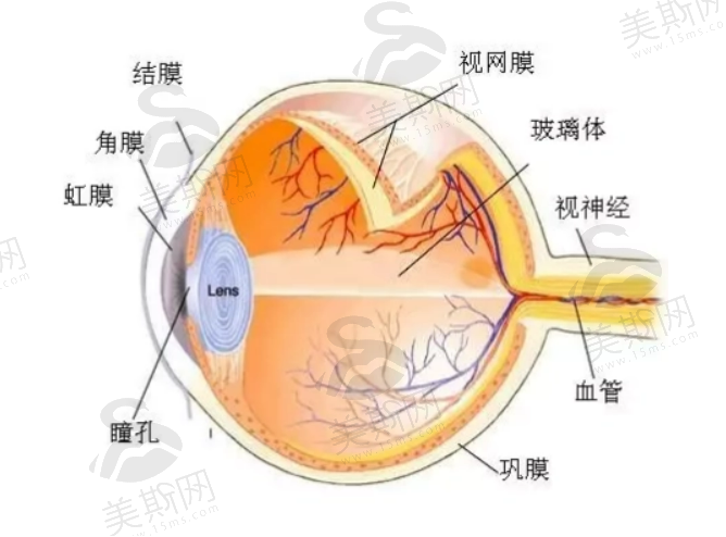 荆州治疗准分子激光手术眼科医院排名，正规医院盘点，收费不贵的连锁专科医院