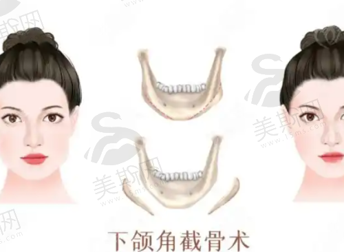 重庆军科疤痕中 心的正规性考察
