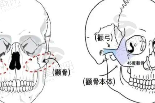 北京画美医院费用情况如何?