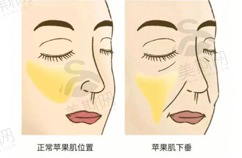 靠谱的6大理由!看完直接心动!