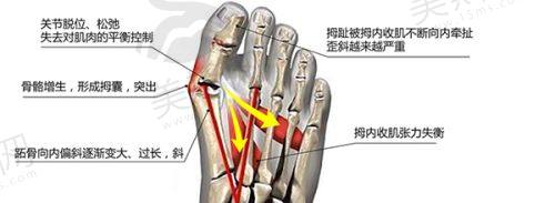 南京医科大学友谊整形外科医院南通分院与无锡分院推测