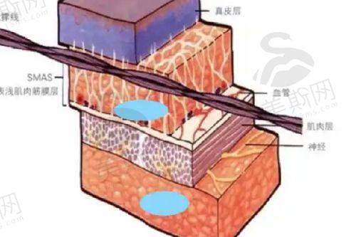 韩国俪伴整形外科 (Liban Clinic)团队介绍