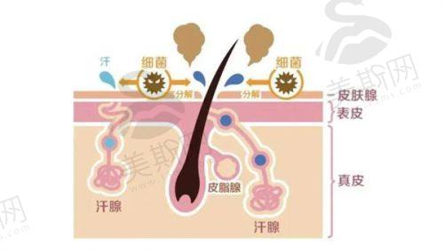 韩国俪伴整形外科 (Liban Clinic)院价格表