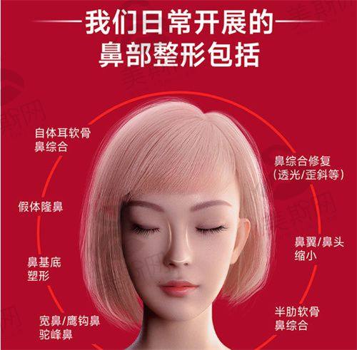 其他项目收费