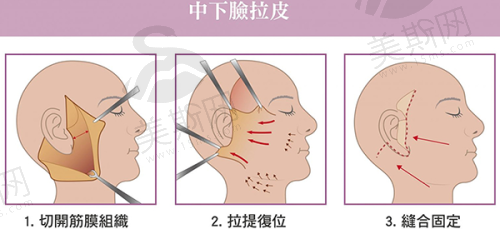 交通路线全解析