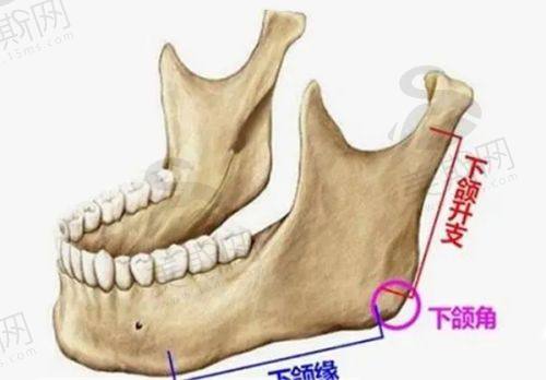 打了生长因子几年后肿是怎么回事