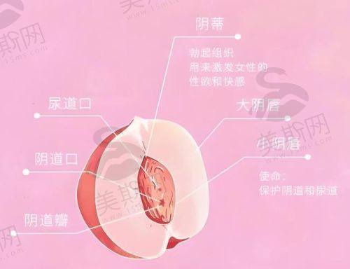 总结