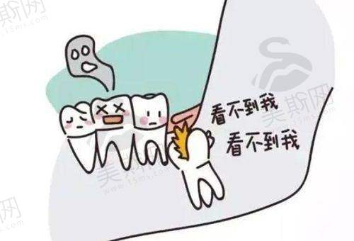 龙华区8家分院全指南