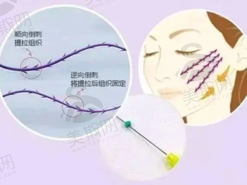张立天磨骨怎么预约挂号?