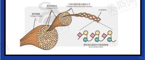西双版纳艾美莎医疗美容诊所