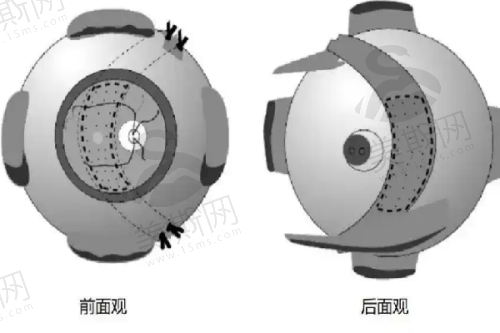 何军 医生预约挂号方式