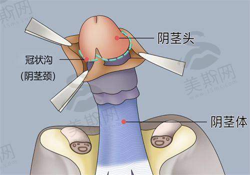 重庆长城骨科医院团队介绍
