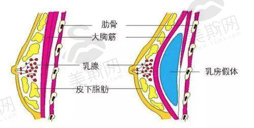乌鲁木齐佳都俏臣医疗美容医院团队介绍
