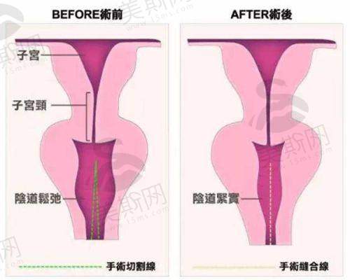 盐城艺植植发诊所团队介绍