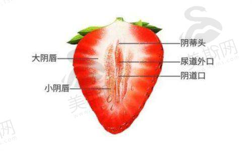 重庆长城骨科医院陈亮擅长项目