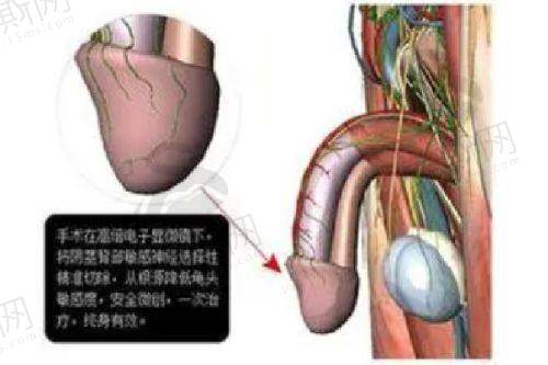 总结