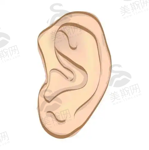 总结