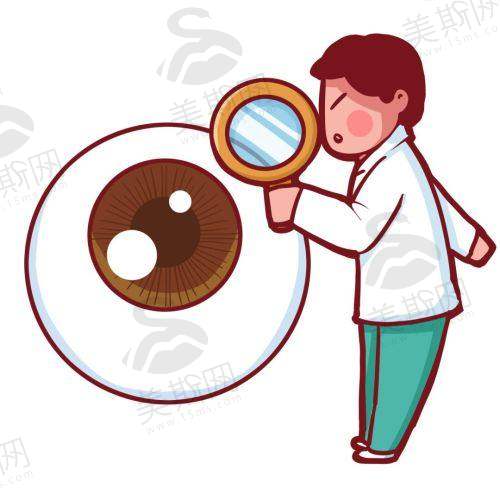 价格体系与性价比分析：不同预算的精细匹配方案