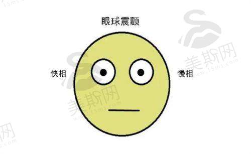 适合人群