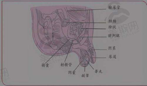 韩国made u皮肤科医院预约挂号
