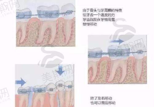 韩国普罗菲耳Profile整形医院口碑如何