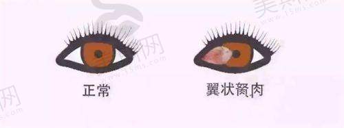 前往医院的交通路线