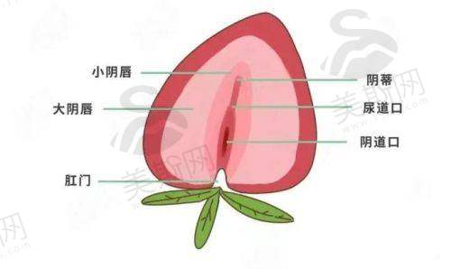 韩国好手艺妇科医院预约挂号